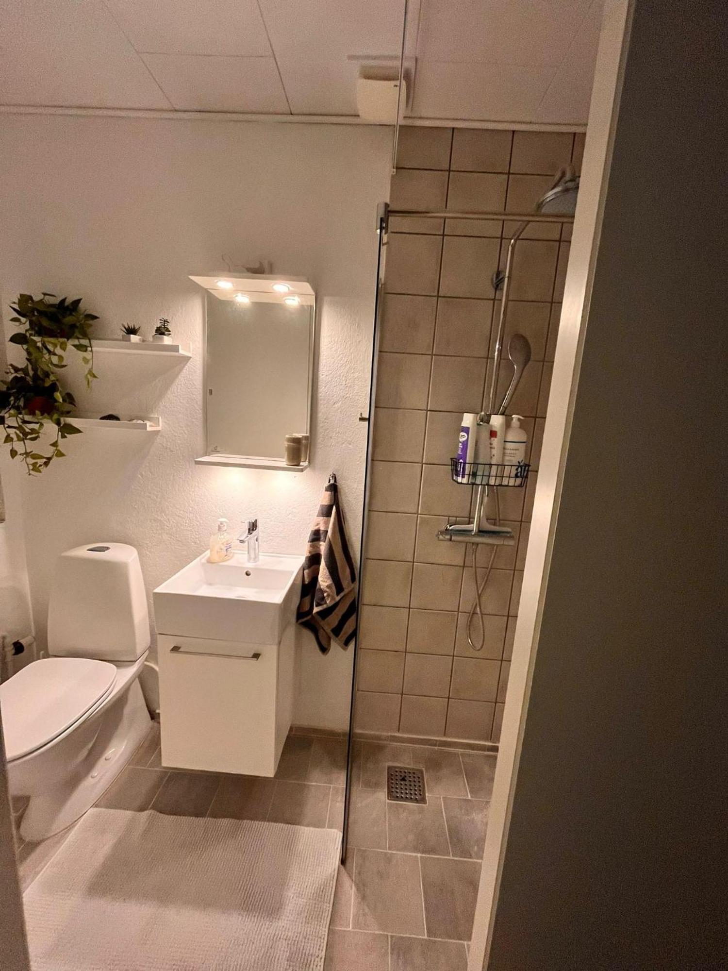 Shruti'S Home Billund Dış mekan fotoğraf